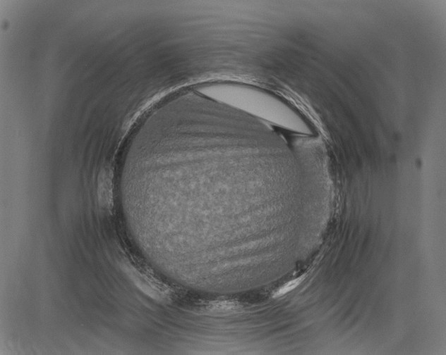 X0000083660204200703051800