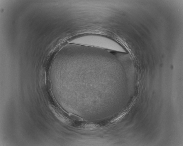 X0000083660205200703051800