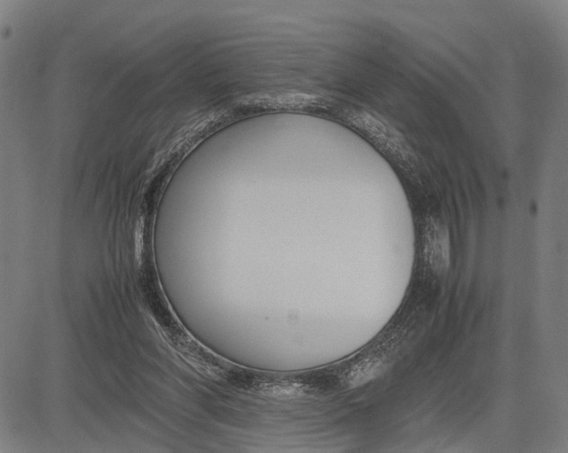 X0000083660206200703051800