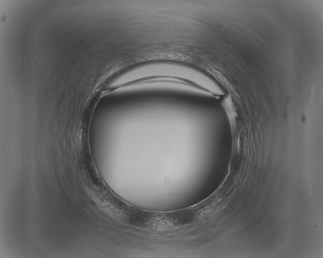 X0000083660207200703051800