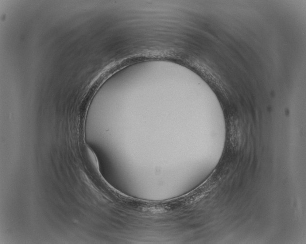 X0000083660208200703051800