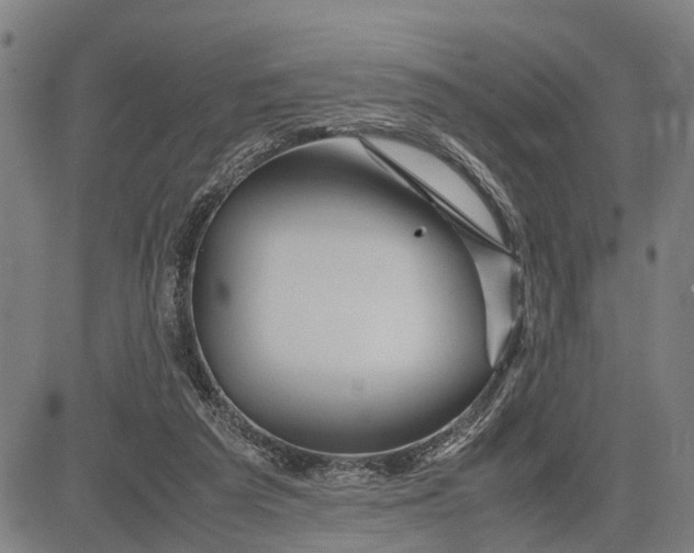 X0000083660209200703051800