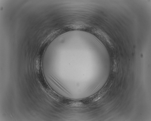 X0000083660210200703051800