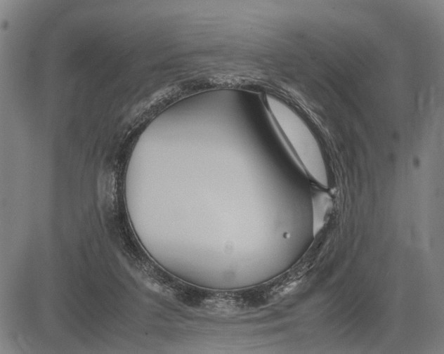 X0000083660211200703051800