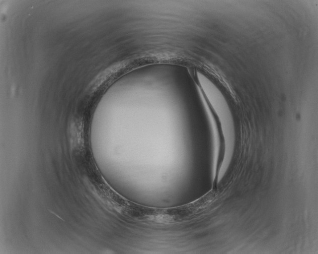 X0000083660212200703051800