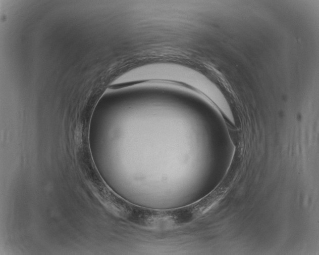 X0000083660213200703051800