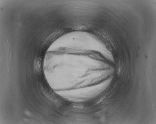 X0000083660214200703051800