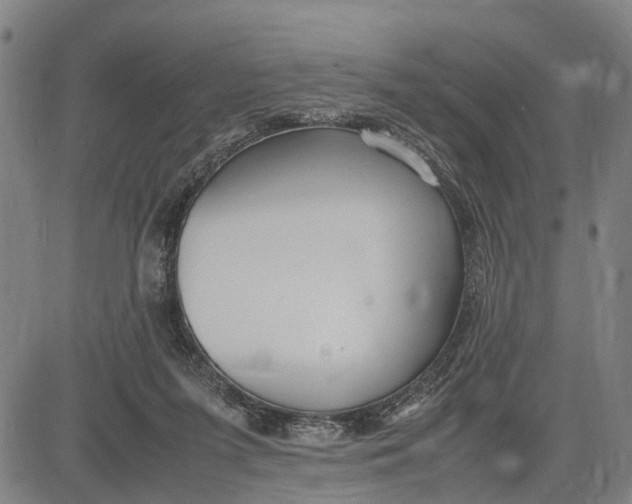 X0000083660215200703051800