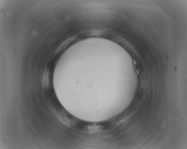 X0000083660216200703051800