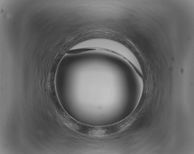 X0000083660217200703051800