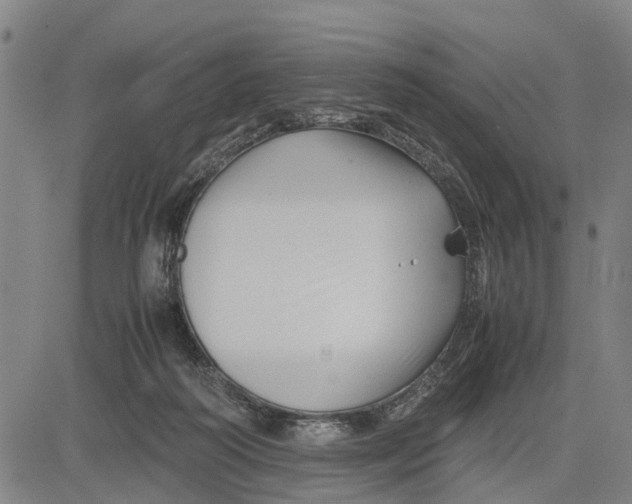 X0000083660218200703051800