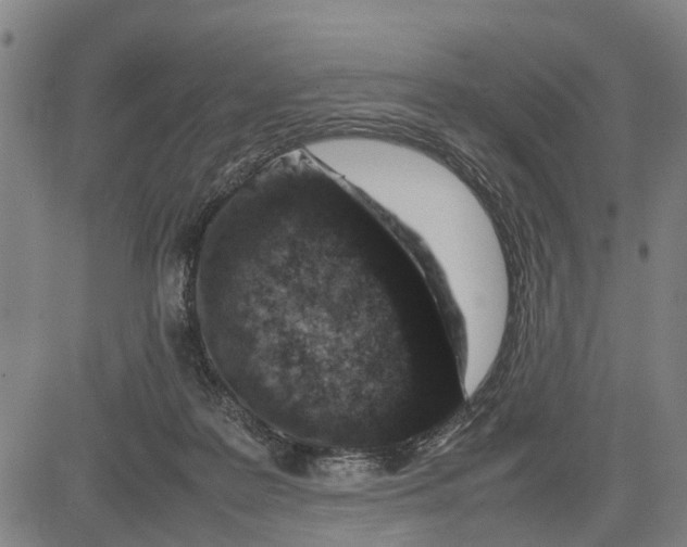 X0000083660219200703051800