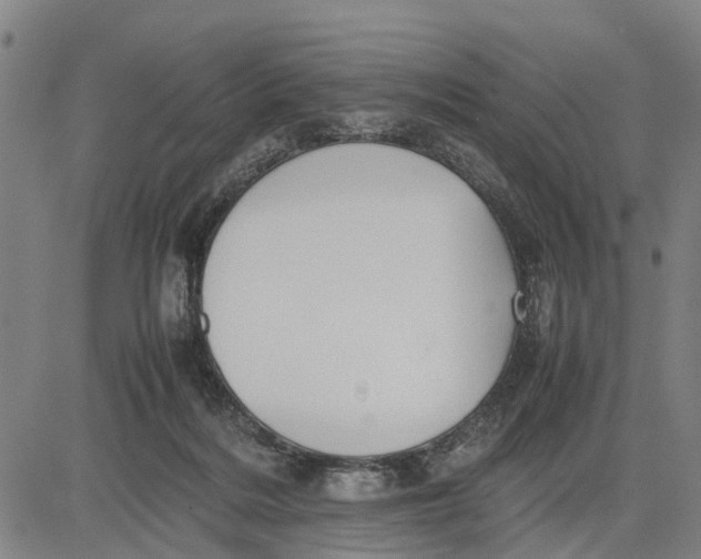 X0000083660220200703051800