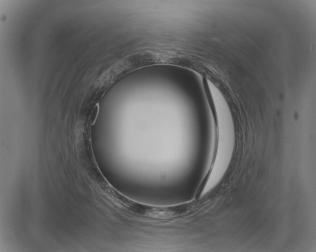 X0000083660221200703051800