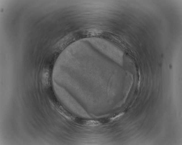 X0000083660222200703051800