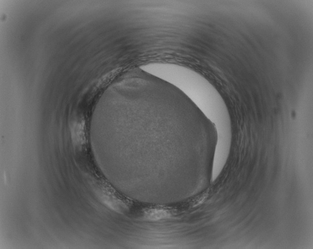 X0000083660224200703051800