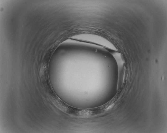 X0000083660225200703051800