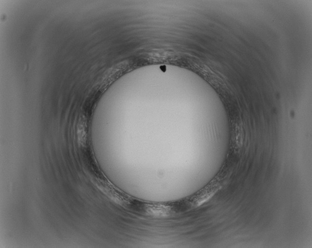 X0000083660226200703051800