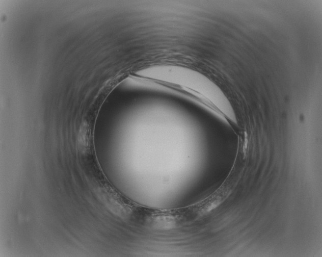 X0000083660228200703051800