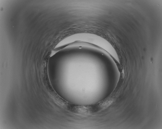 X0000083660229200703051800