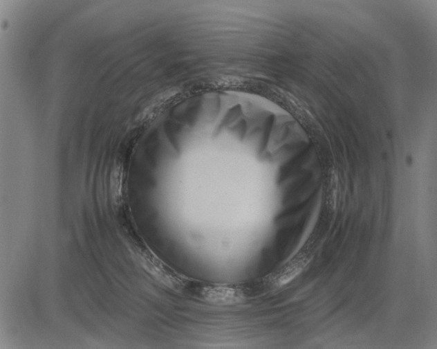 X0000083660230200703051800