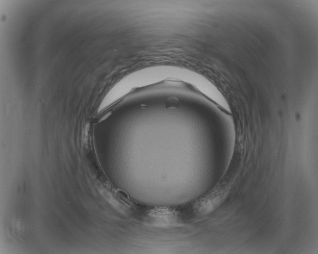 X0000083660231200703051800