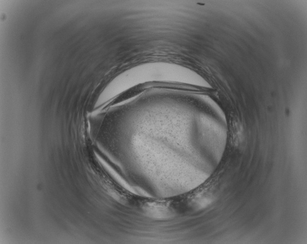 X0000083660232200703051800