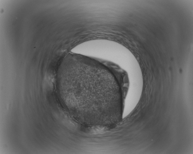 X0000083660235200703051800