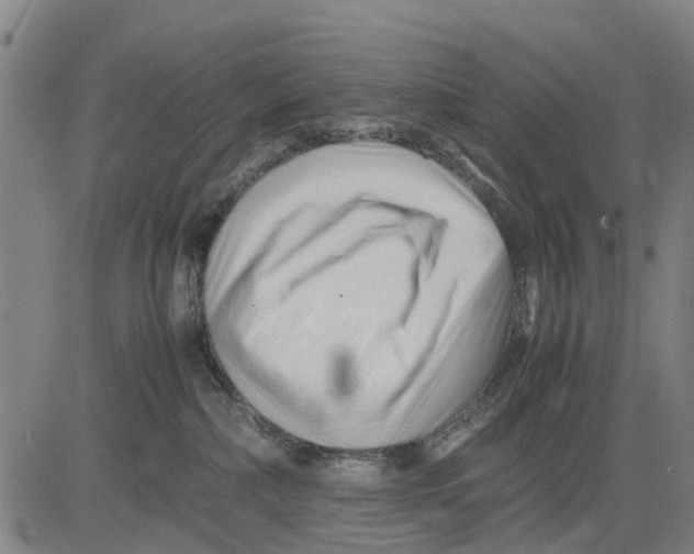 X0000083660236200703051800