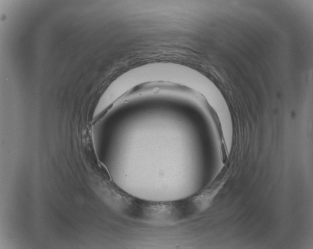 X0000083660237200703051800