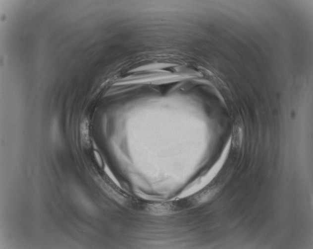 X0000083660238200703051800