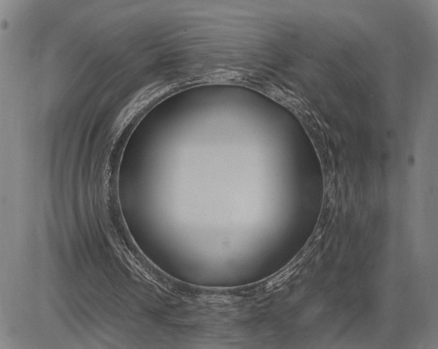 X0000083660242200703051759