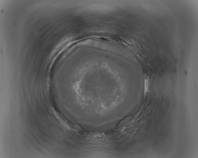 X0000083660243200703051759