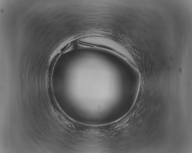 X0000083660244200703051759