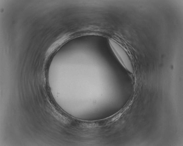 X0000083660245200703051759