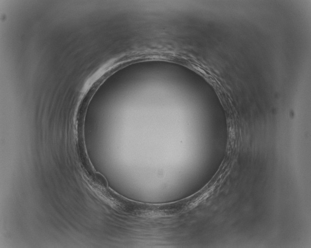 X0000083660246200703051759