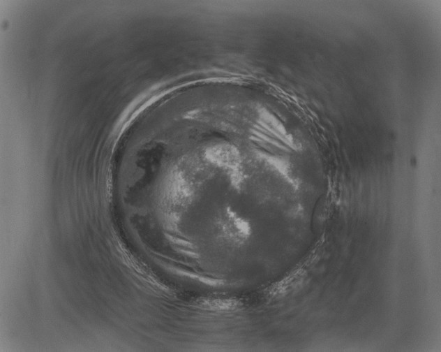 X0000083660247200703051759