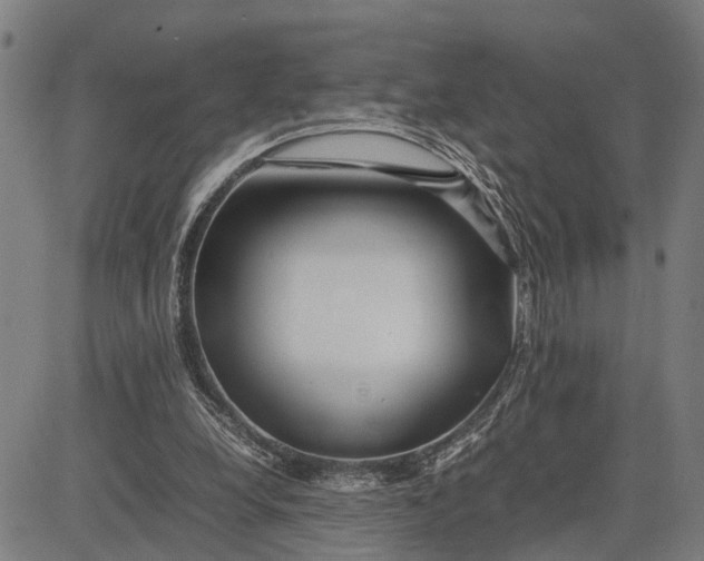 X0000083660248200703051759