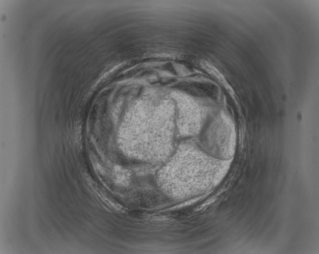 X0000083660249200703051759