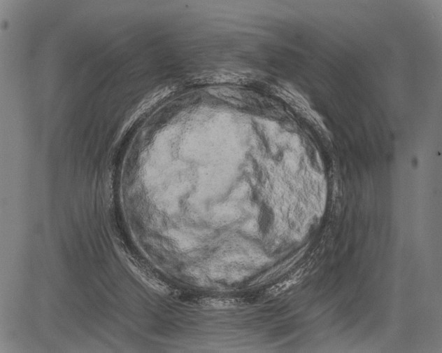 X0000083660250200703051759