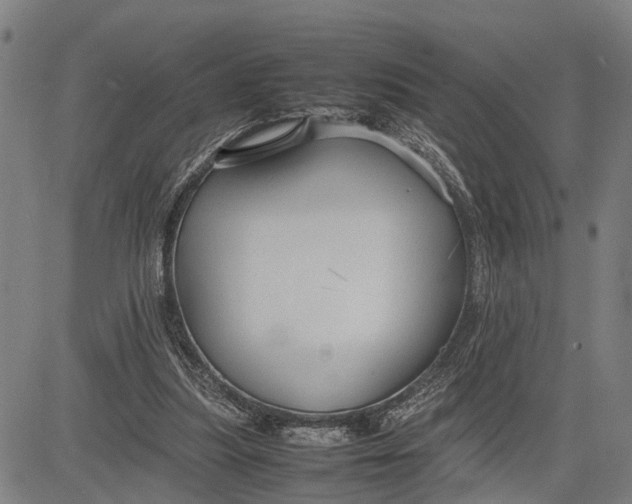 X0000083660251200703051759