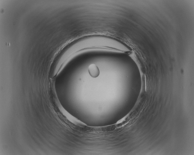 X0000083660252200703051759