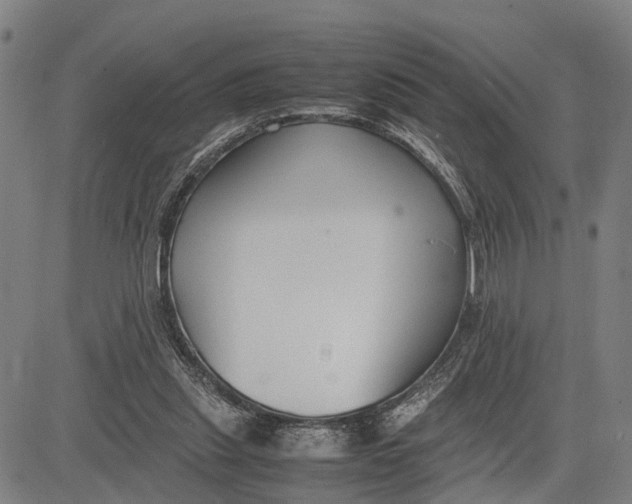 X0000083660253200703051759