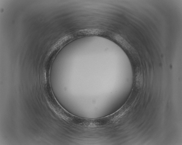 X0000083660254200703051759