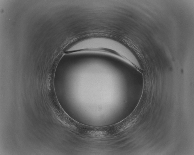 X0000083660255200703051759