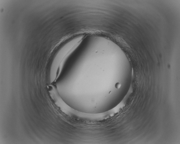 X0000083660256200703051759