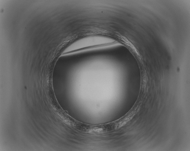 X0000083660257200703051759