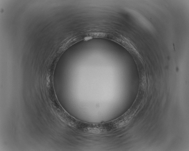 X0000083660259200703051759