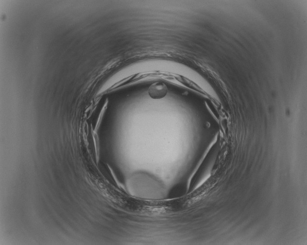 X0000083660260200703051759