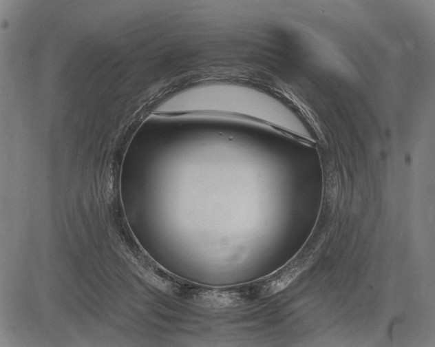 X0000083660261200703051759